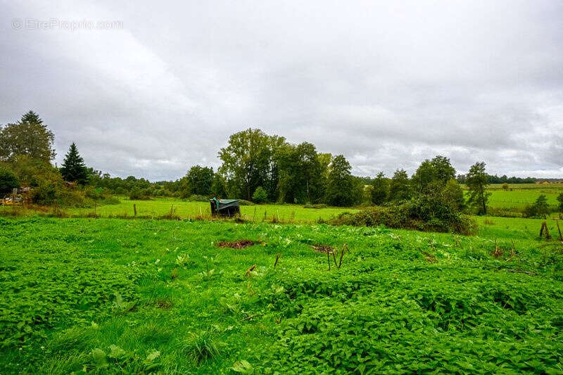 Maison à CHAVANNES-SUR-L&#039;ETANG