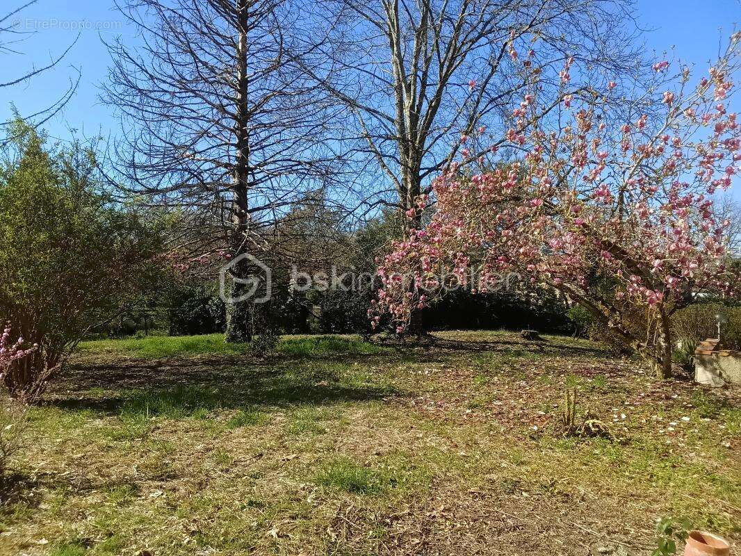 Maison à PEYREHORADE