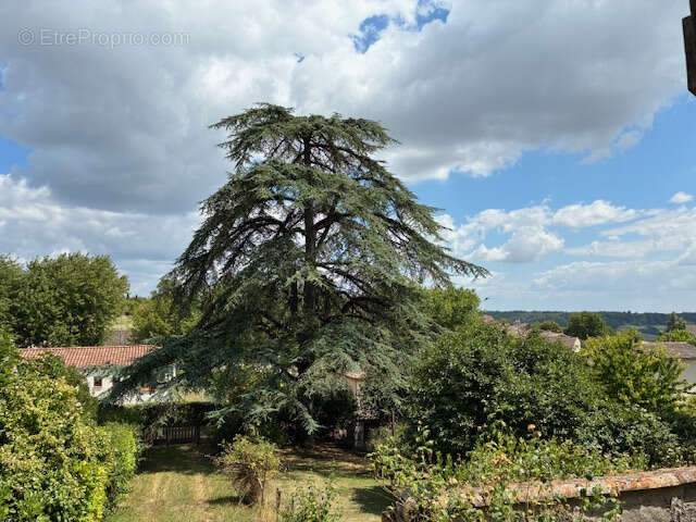 Maison à CASTELNAU-MONTRATIER