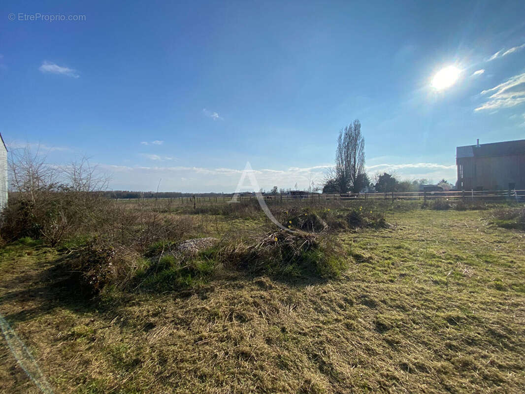 Terrain à MONT-PRES-CHAMBORD