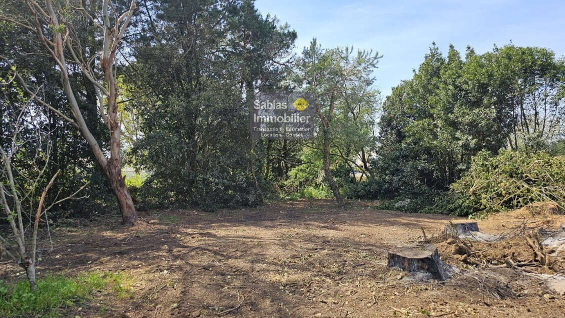 Terrain à L'ILE-D'YEU