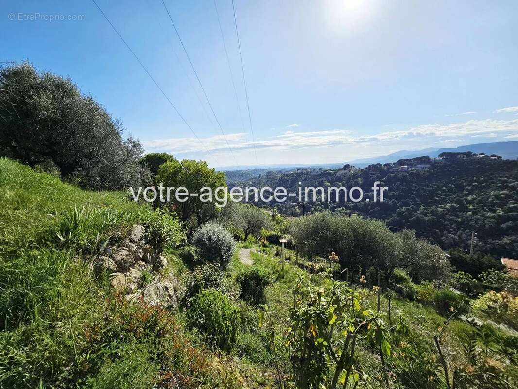 Terrain à ASPREMONT