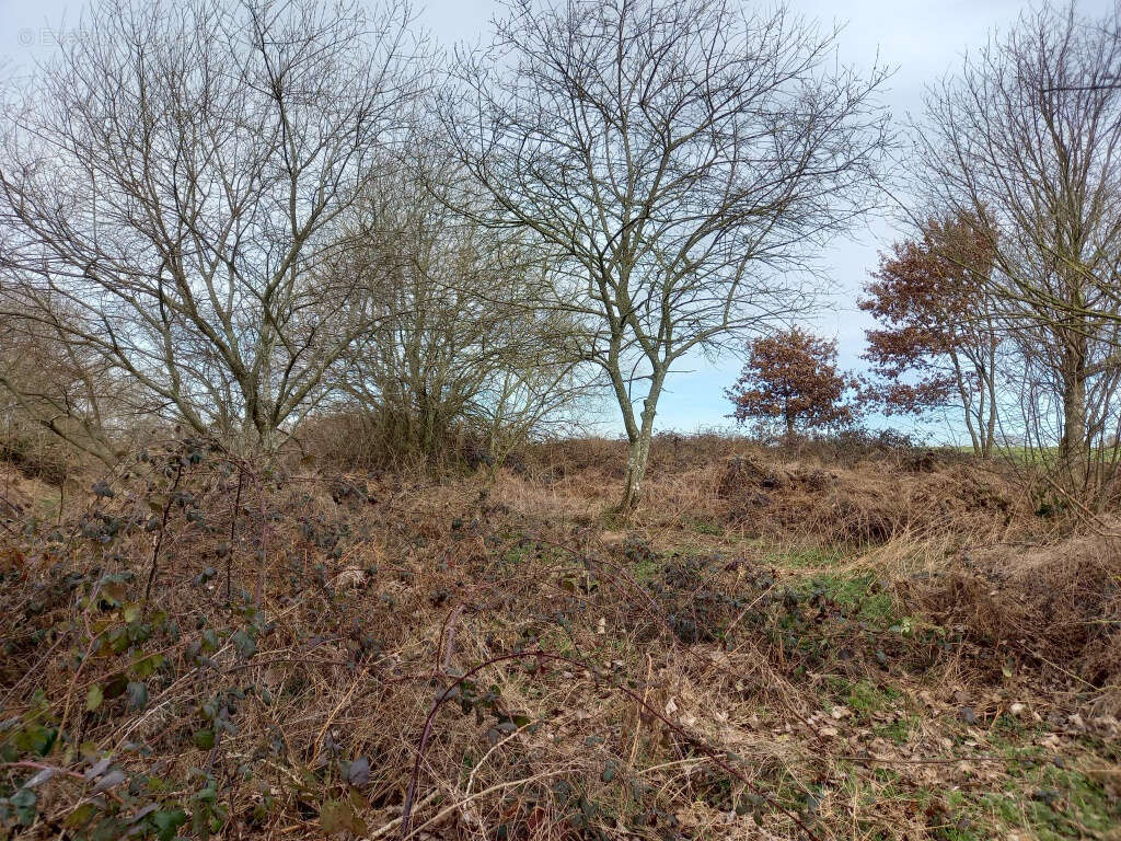 Terrain à MELLE