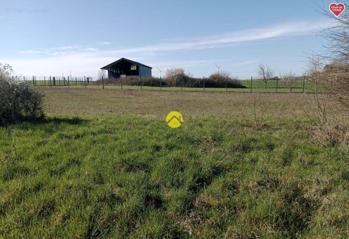 Terrain à REUILLY
