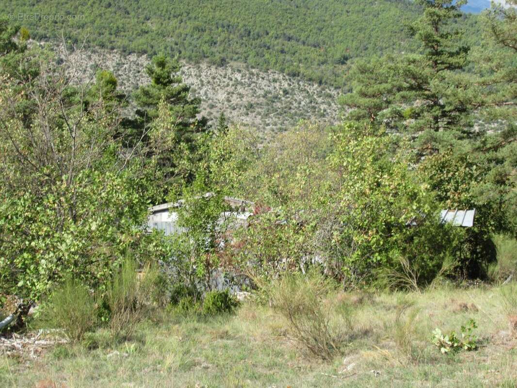 Photo 5 - Terrain à ENTREVAUX