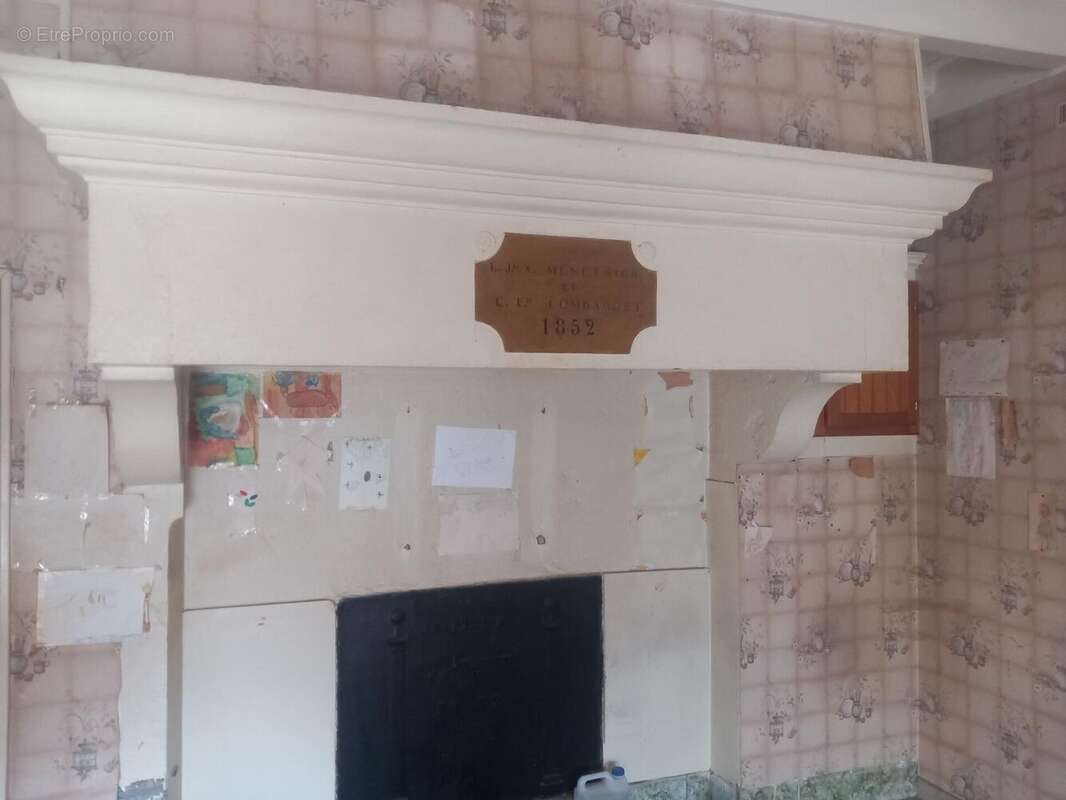 Photo 5 - Maison à NOIDANS-LE-FERROUX