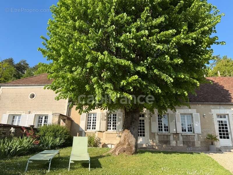Maison à vendre 9 pièces GY L'EVEQUE (89) Propriété de caractère de 185 m2 4 chambres plus bureau   Terrain - photo 8