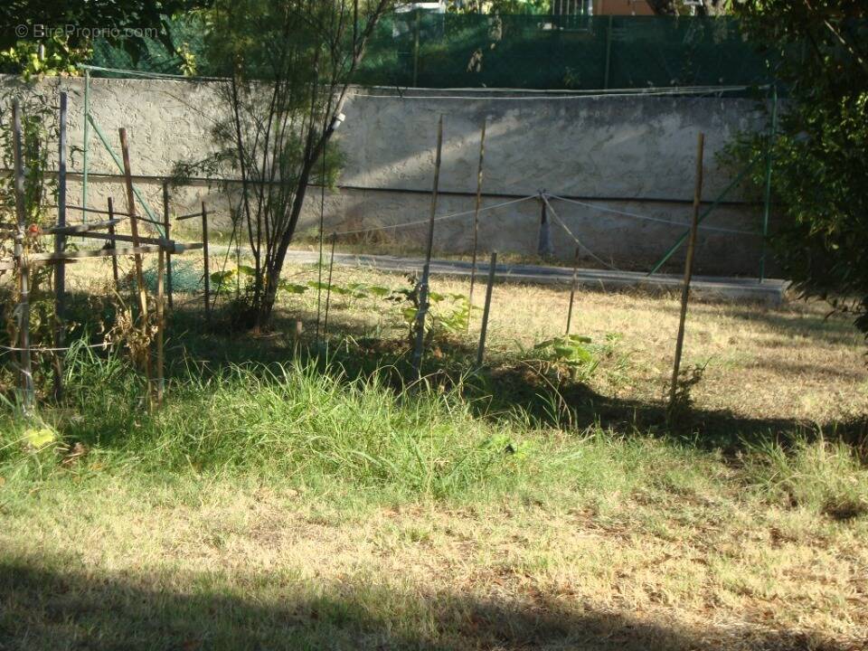 Terrain à CUERS