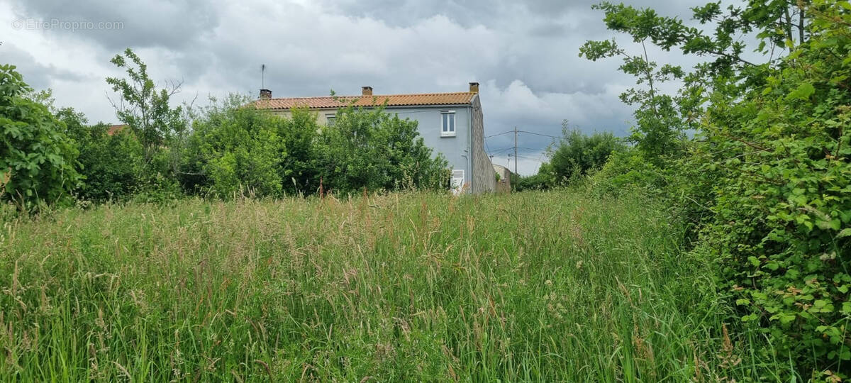 Terrain à LA ROCHE-SUR-YON