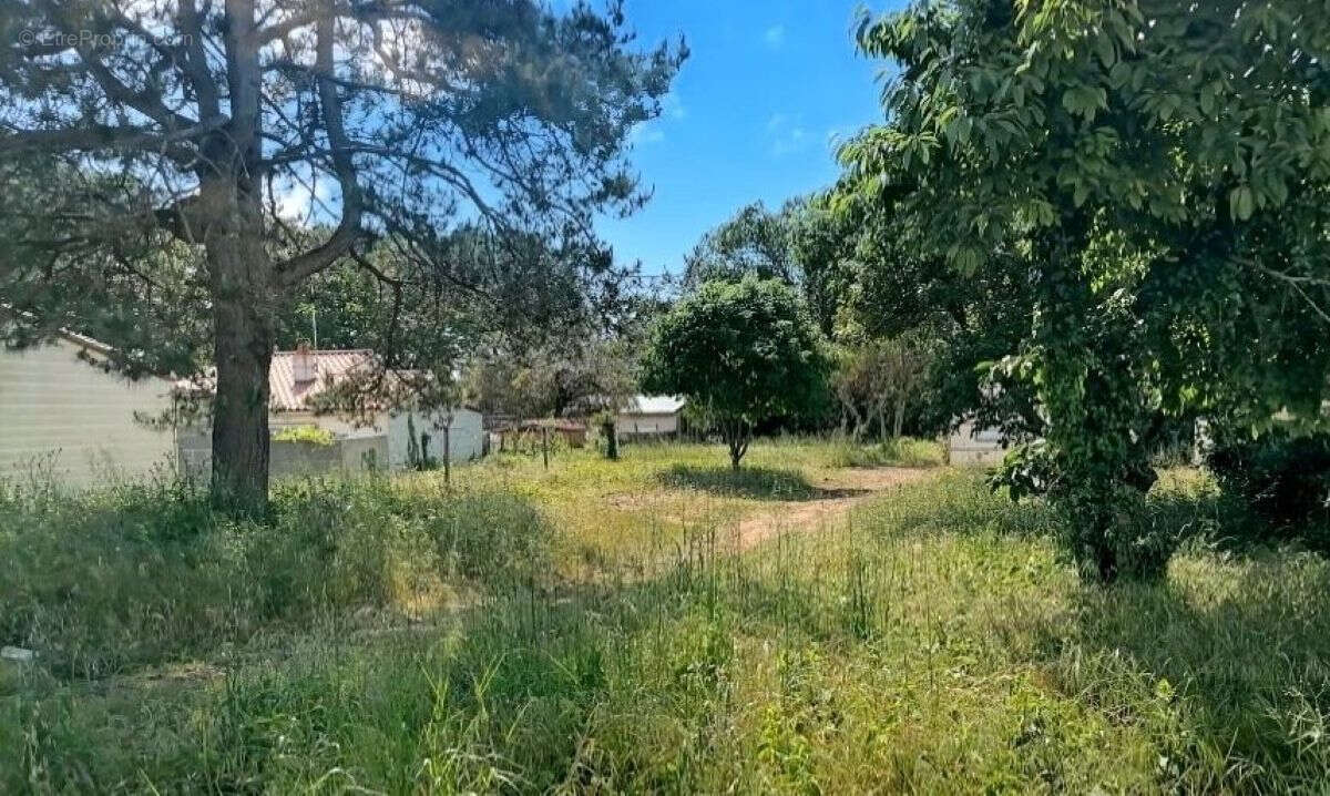 Terrain à LA PLAINE-SUR-MER