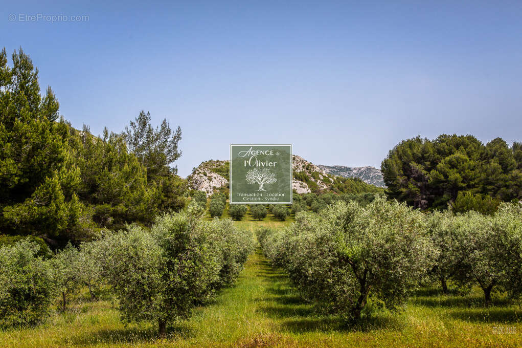 Terrain constructible 358m2 - photo 4