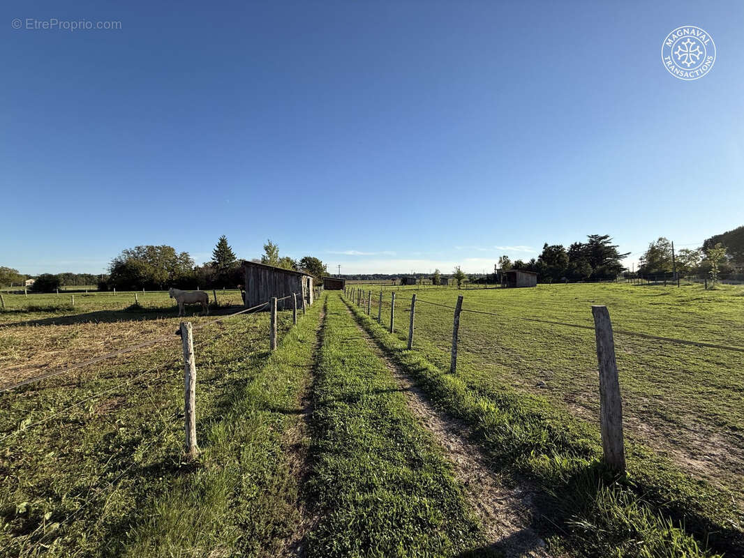 Centre équestre complet (Tarn-Occitanie) - photo 12