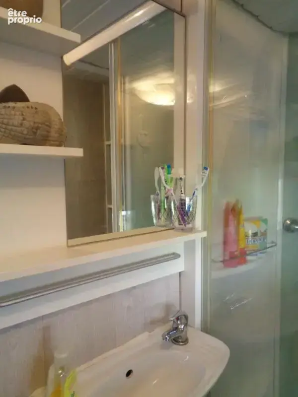 Beauzac(43), mobil-home de 26 m2 habitables, 2 chambres sur 146 m2 de terrain - photo 8