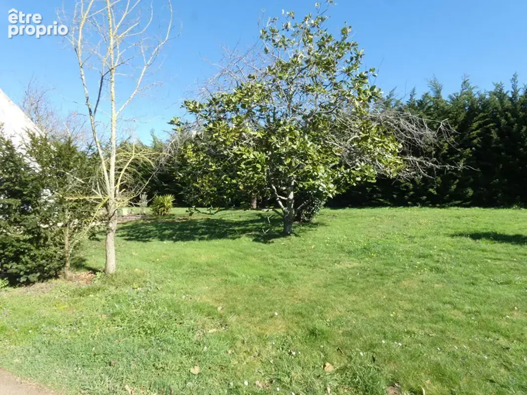 BELLE OPPORTUNITE FONCIERE ! Terrain constructible de près de 3 000m2 - photo 3