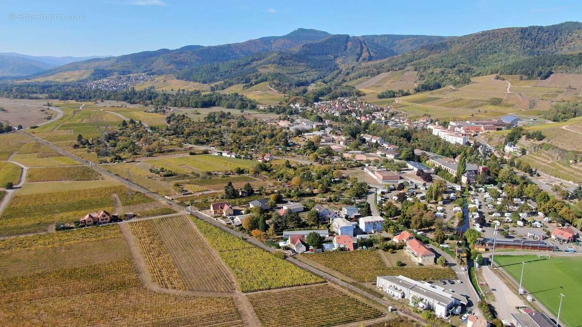 Terrain à TURCKHEIM