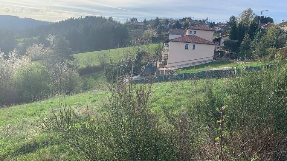 Terrain à SAINT-FERREOL-D'AUROURE