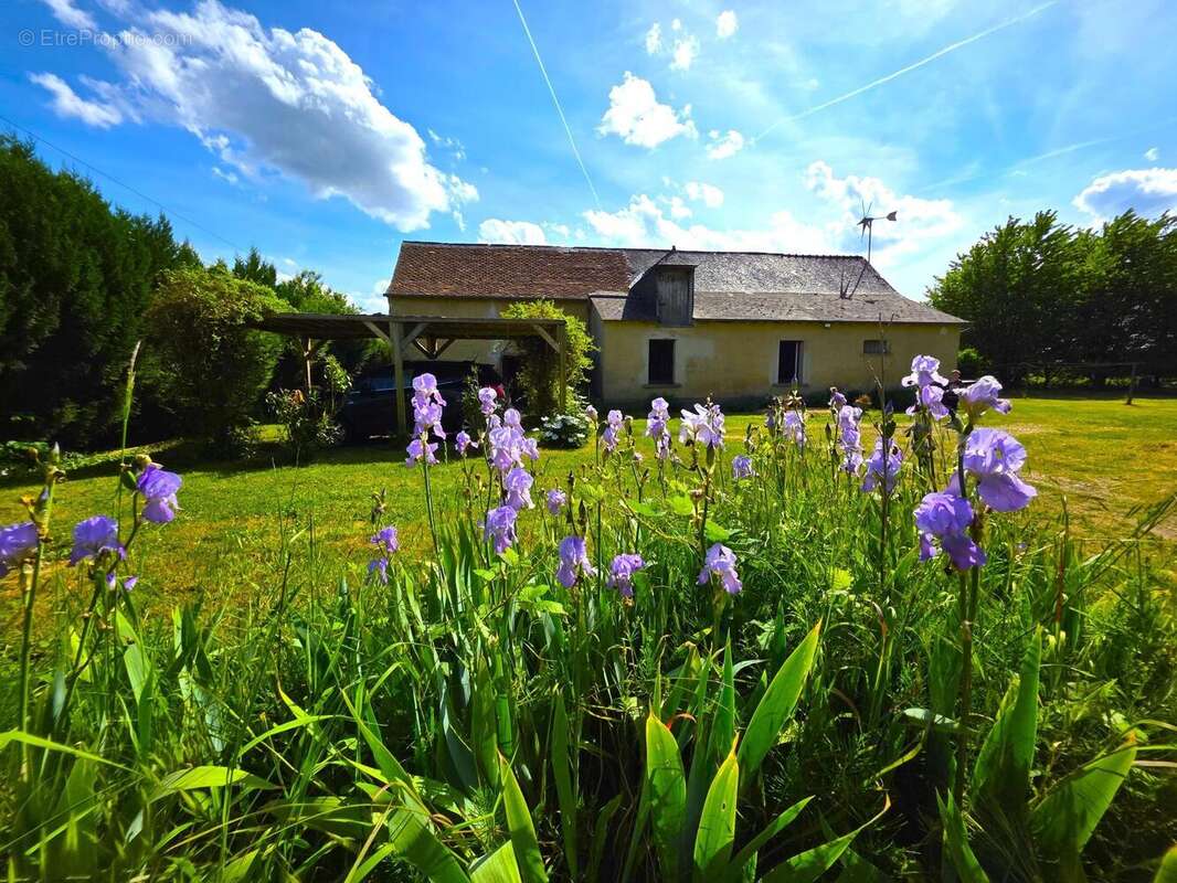 Photo 4 - Maison à BAUGE