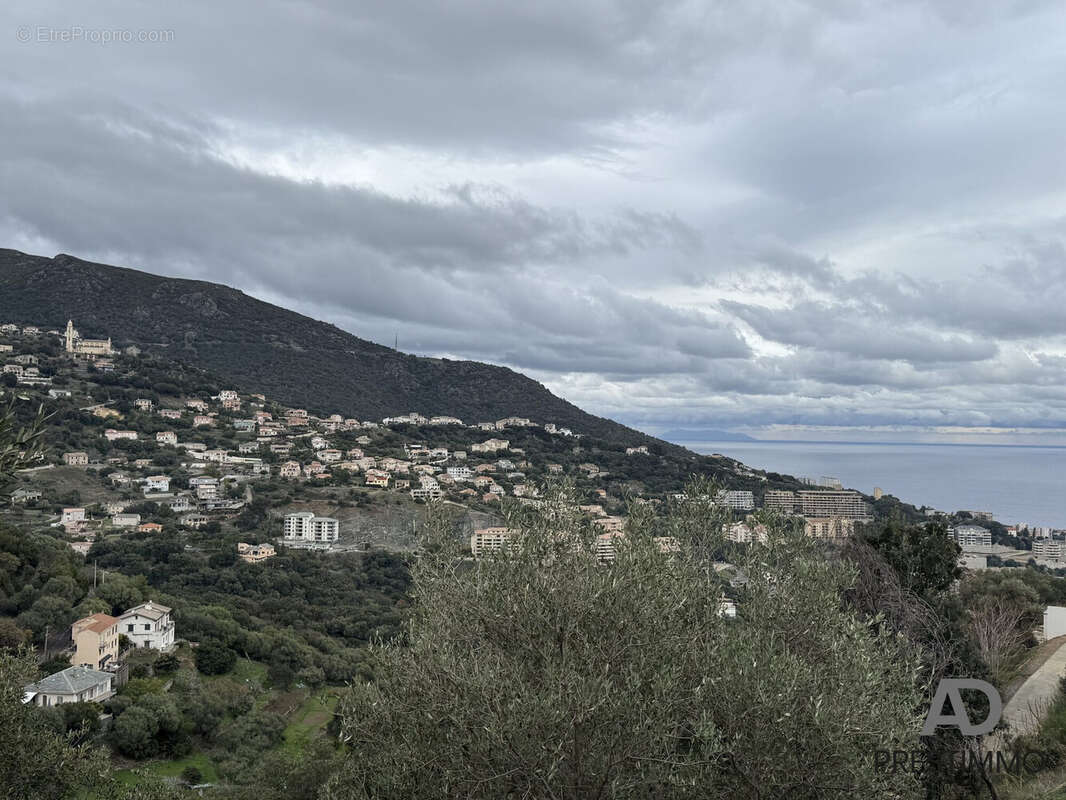 Maison à SAN-MARTINO-DI-LOTA