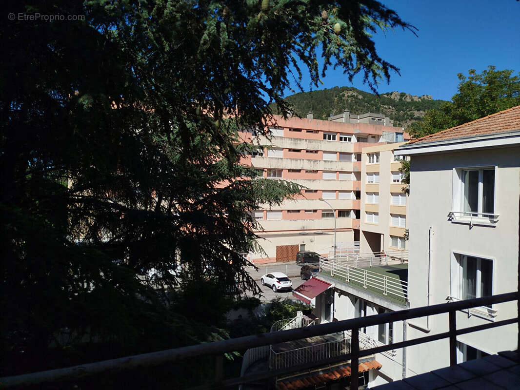 Appartement Digne Les Bains 5 pièce(s) 120 m2 - photo 5