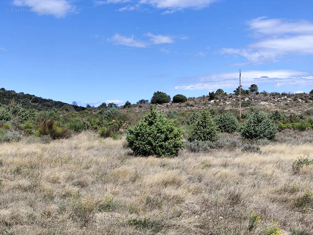 Montalba-le-chateau - terrain agricole 10 695 m2 - photo 5