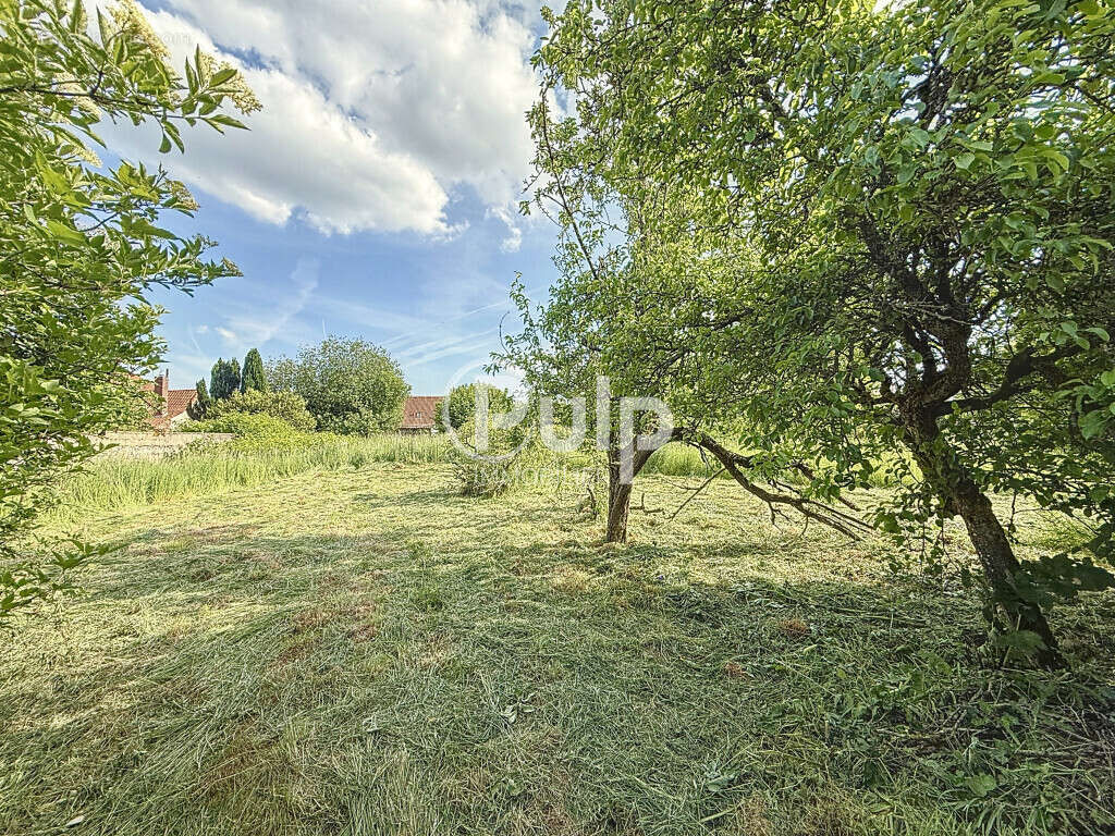 Appartement à HESDIN