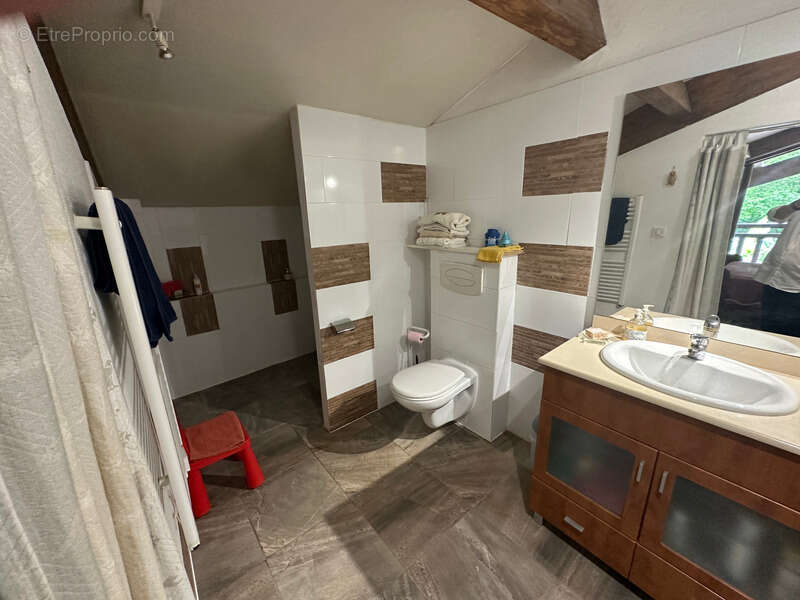 Authentique maison Landaise entierement rénovée avec petite dépendance, ruisseau et mare sur environ 2 Ha - photo 17