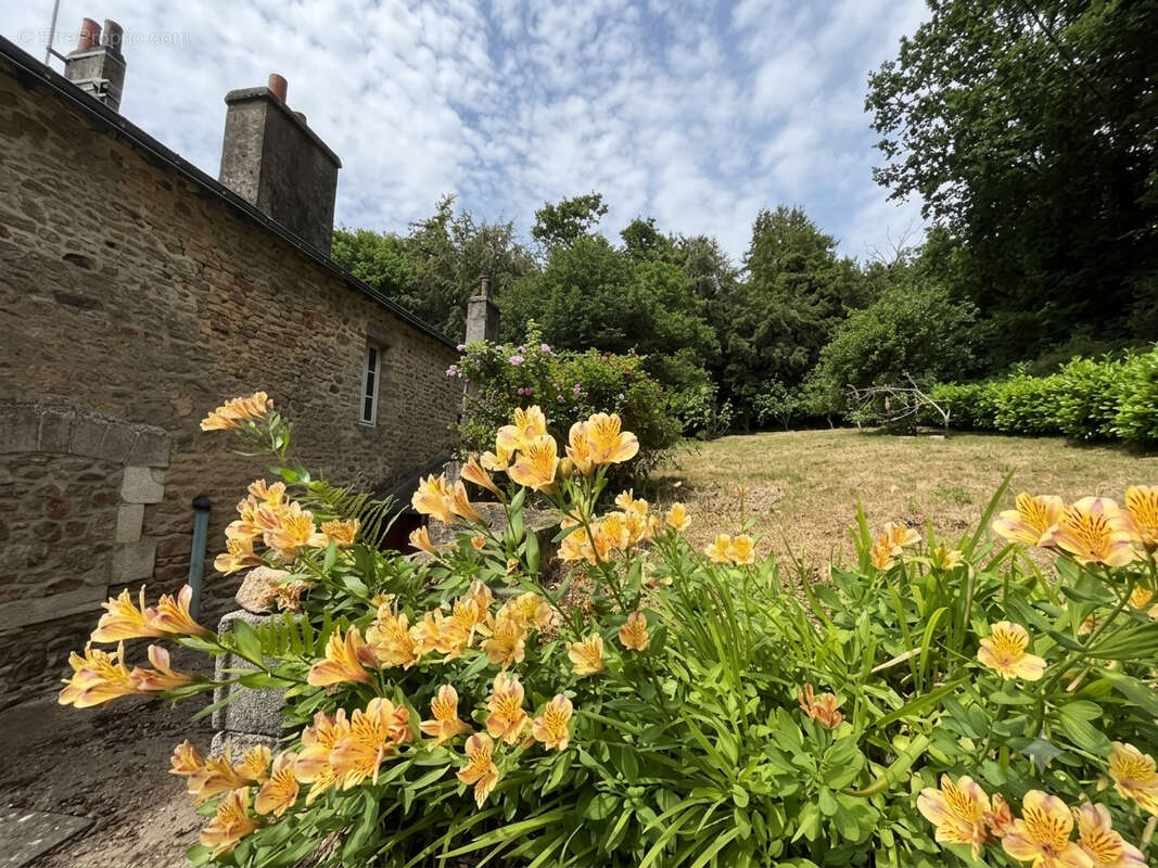 Maison 5 pièces à vendre à Inzinzac-Lochrist - Réf 497 - photo 2