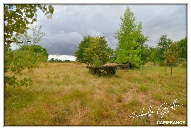 Propriété à vendre à Touchay : 2 maisons avec 4.5 hectares TOUCHAY (18) - photo 6