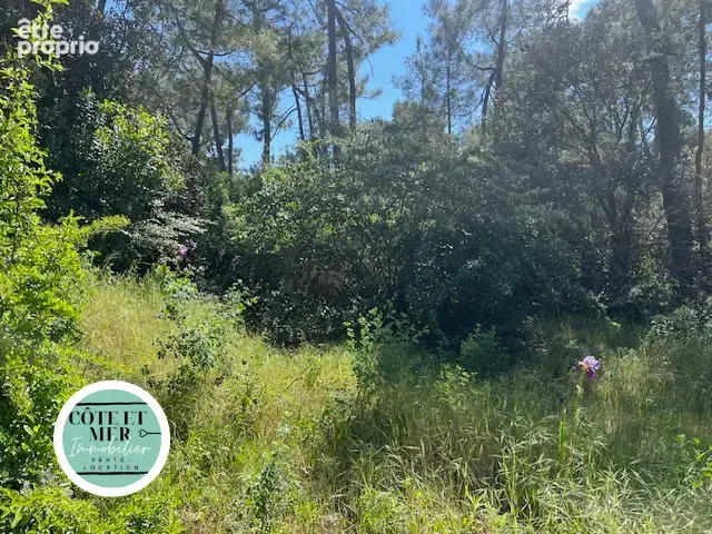 Terrain constructible dans un quartier prise - photo 5