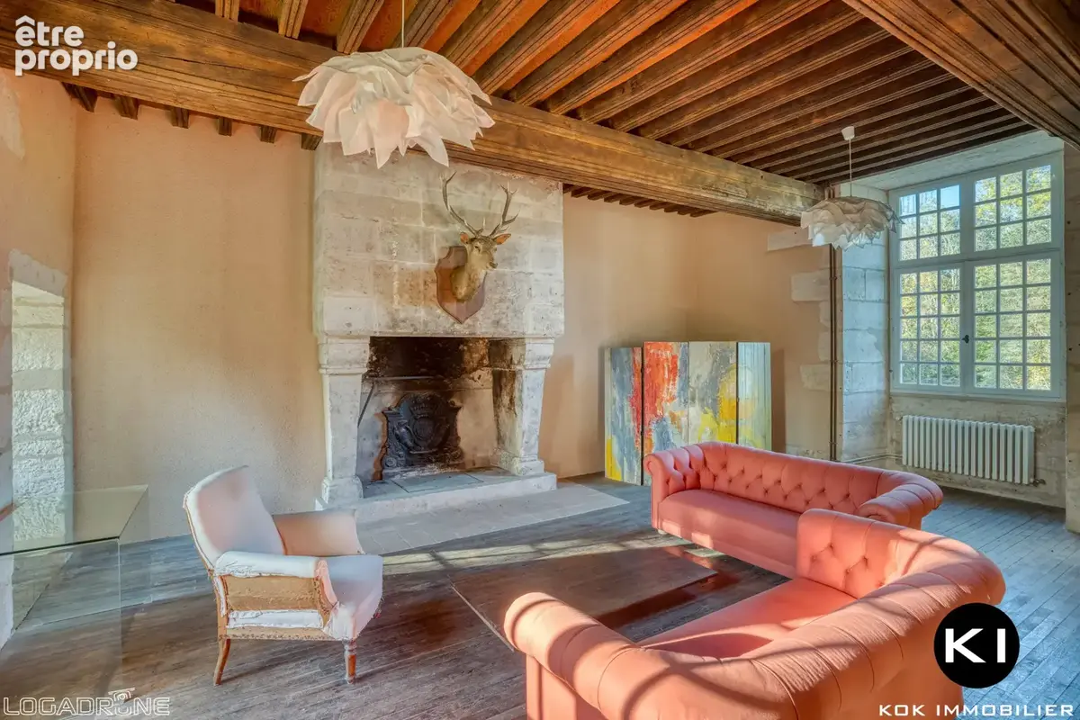 Maison 8 pièces 248 m² à vendre à Vergt (24380) - photo 8