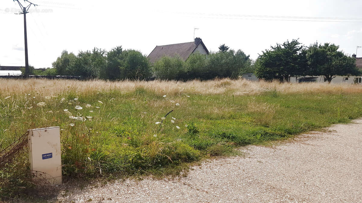 Terrain à L&#039;ABERGEMENT-SAINTE-COLOMBE