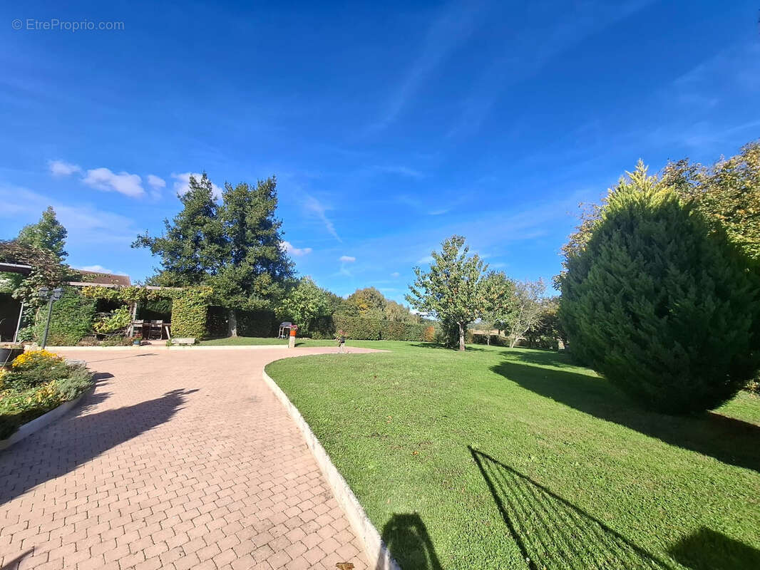 Maison à MONTMIRAIL