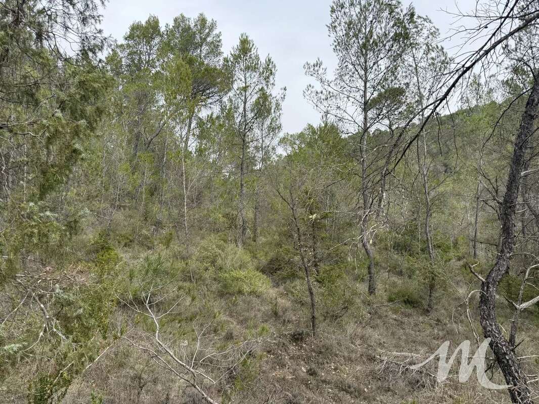 Terrain à BARJOLS