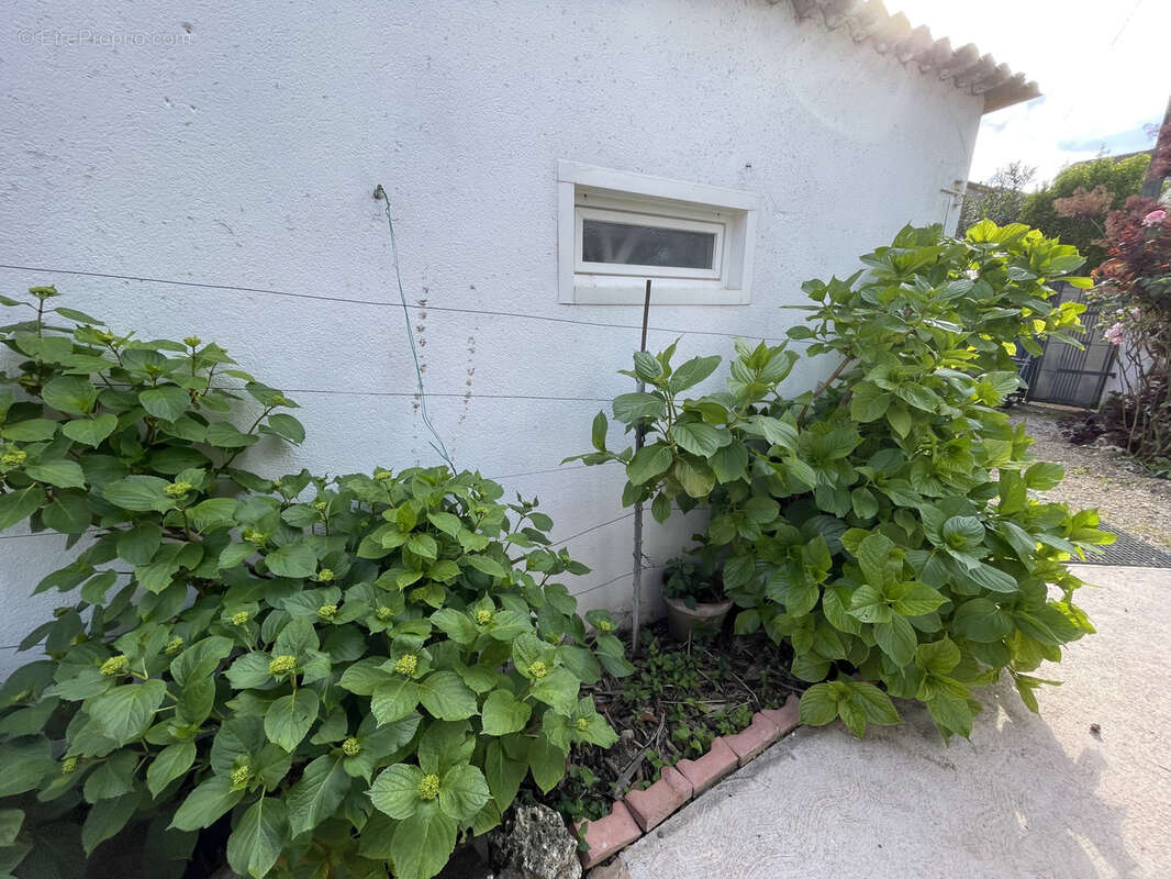 Maison de ville 146 m2     Montauban - photo 14