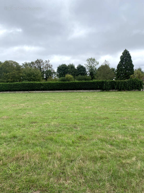 Terrain à BOISSY-LES-PERCHE