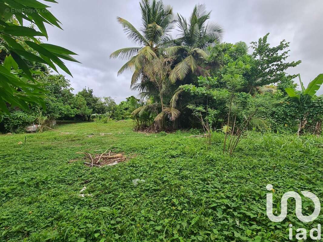 Photo 6 - Terrain à LE MOULE