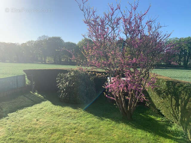 Maison à SAINT-GERAND