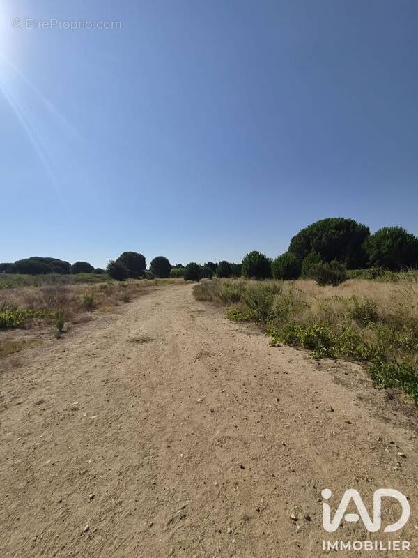 Photo Terrain à Latour-Bas-Elne au prix de 204 000€