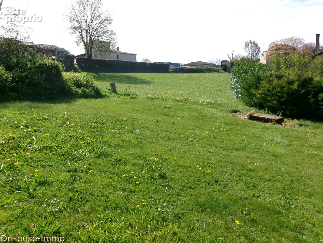 Terrain 1 687 m² à vendre à Duras (47120) - photo 7