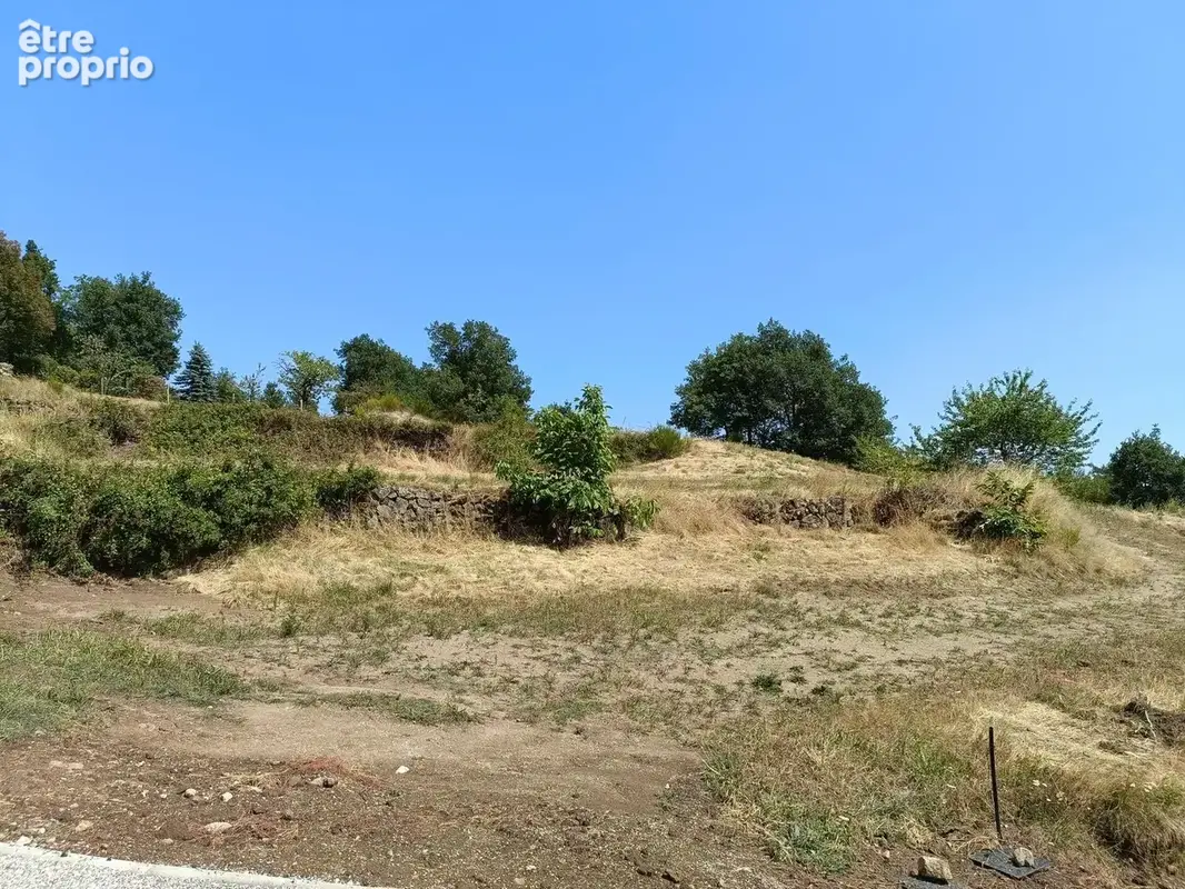 Terrain