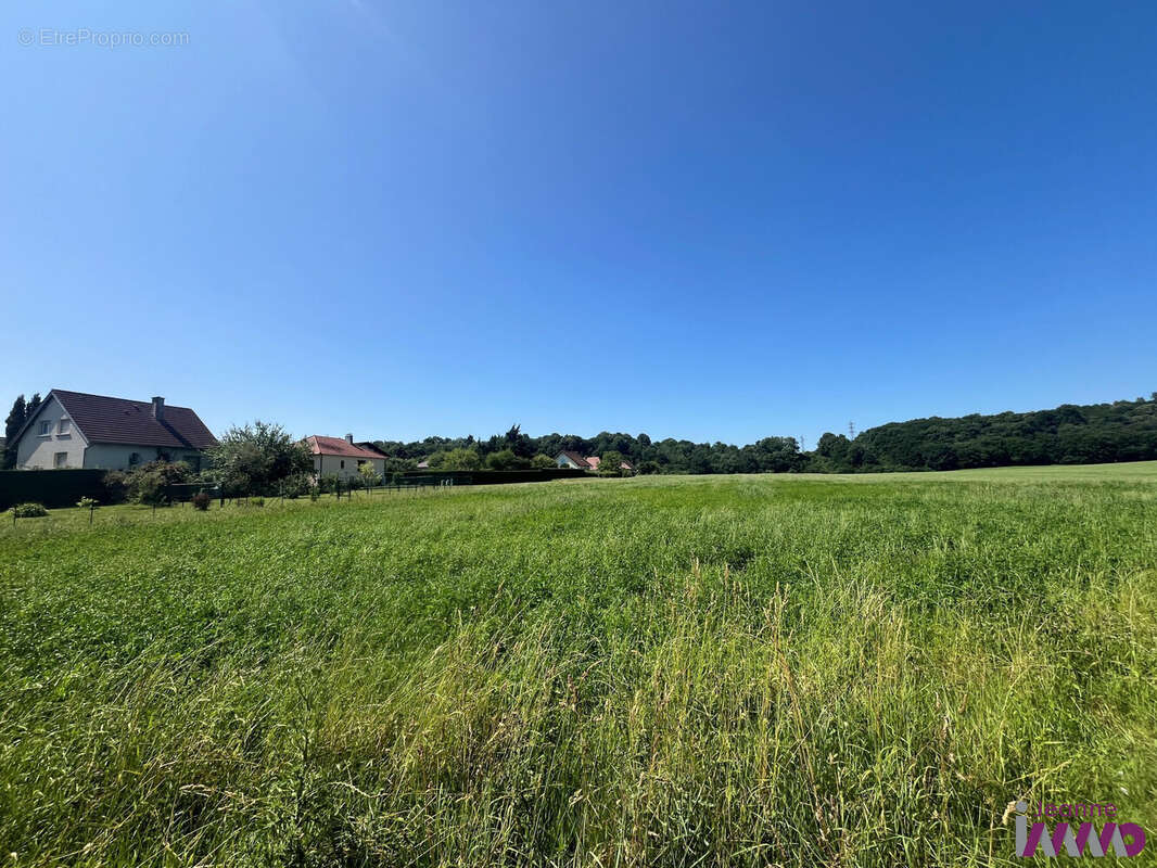 Terrain à BAVILLIERS