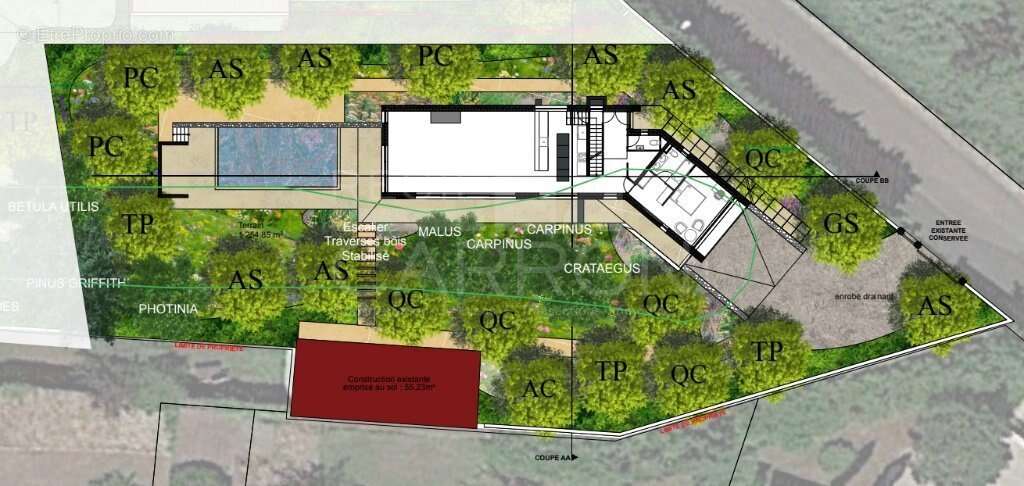 Terrain à SAINT-CYR-AU-MONT-D&#039;OR