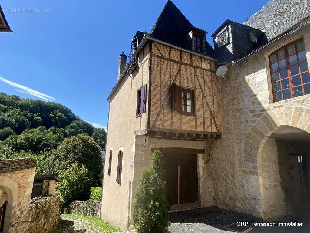Maison de caractère  9 pièces, 217 m², Terrasson la Villedieu 24120 - photo 5