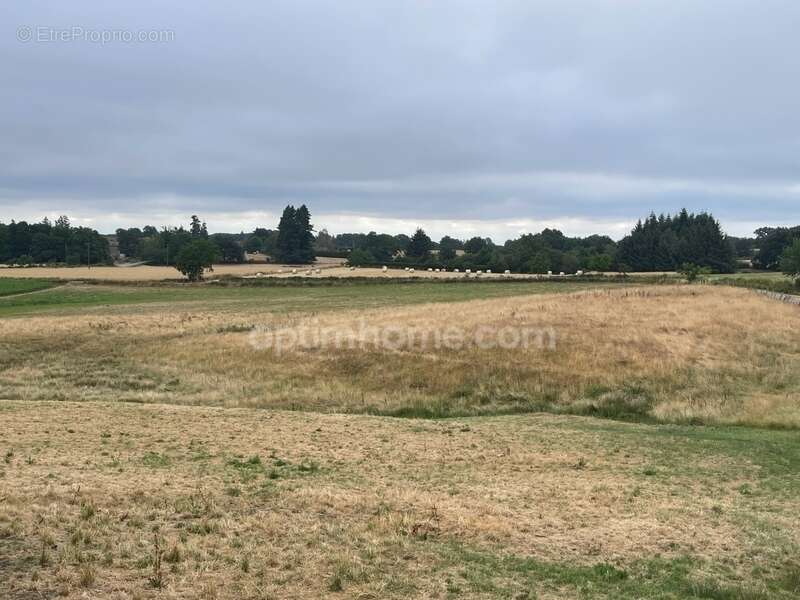 Maison  sur 8853 m2  avec étang, jardin plat et dépendances - photo 31