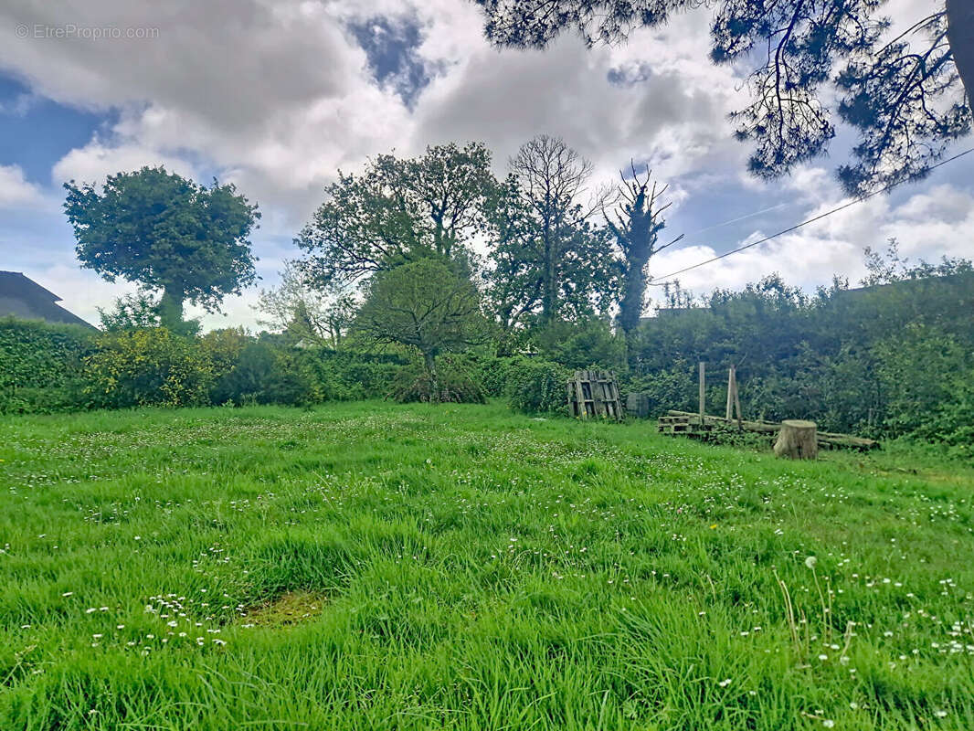 Terrain à SURZUR