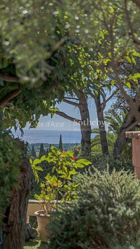 Maison à SAINT-TROPEZ