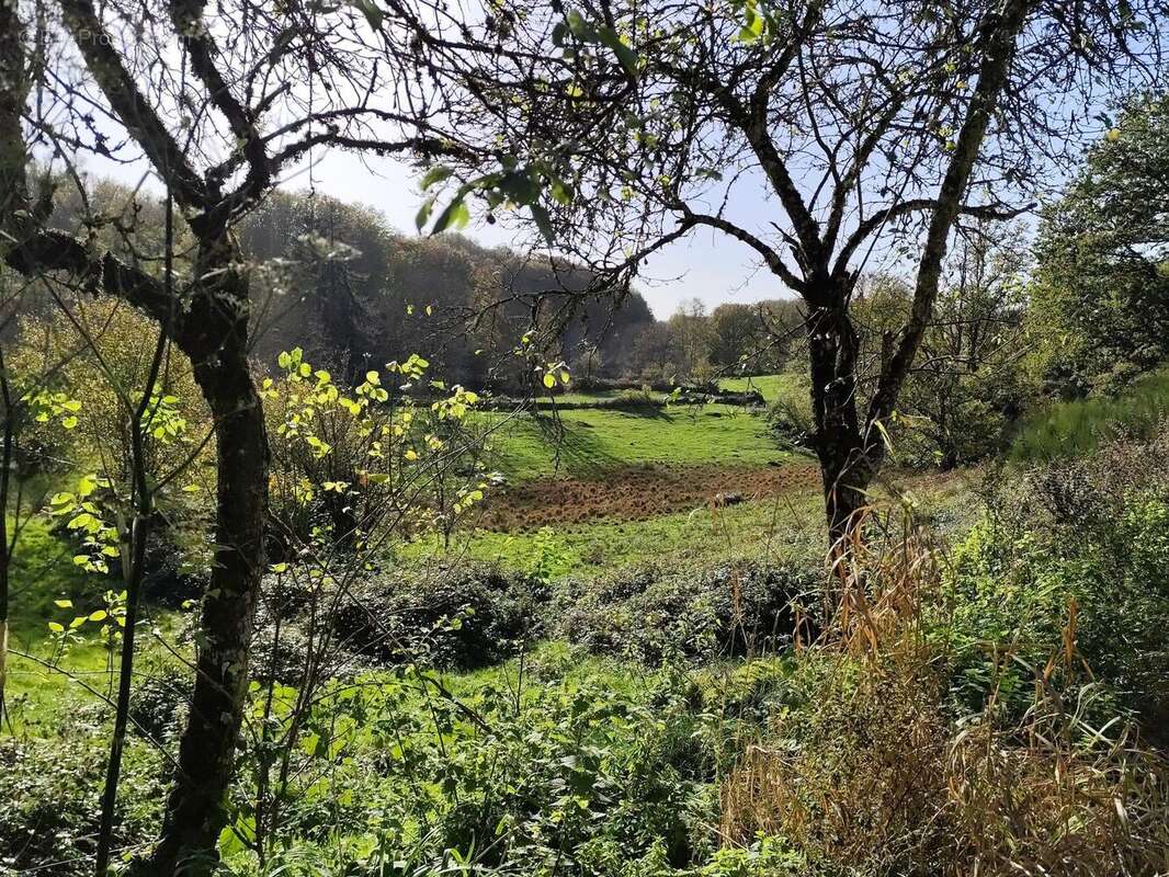 Photo 5 - Maison à CHAMPS-SUR-TARENTAINE-MARCHAL