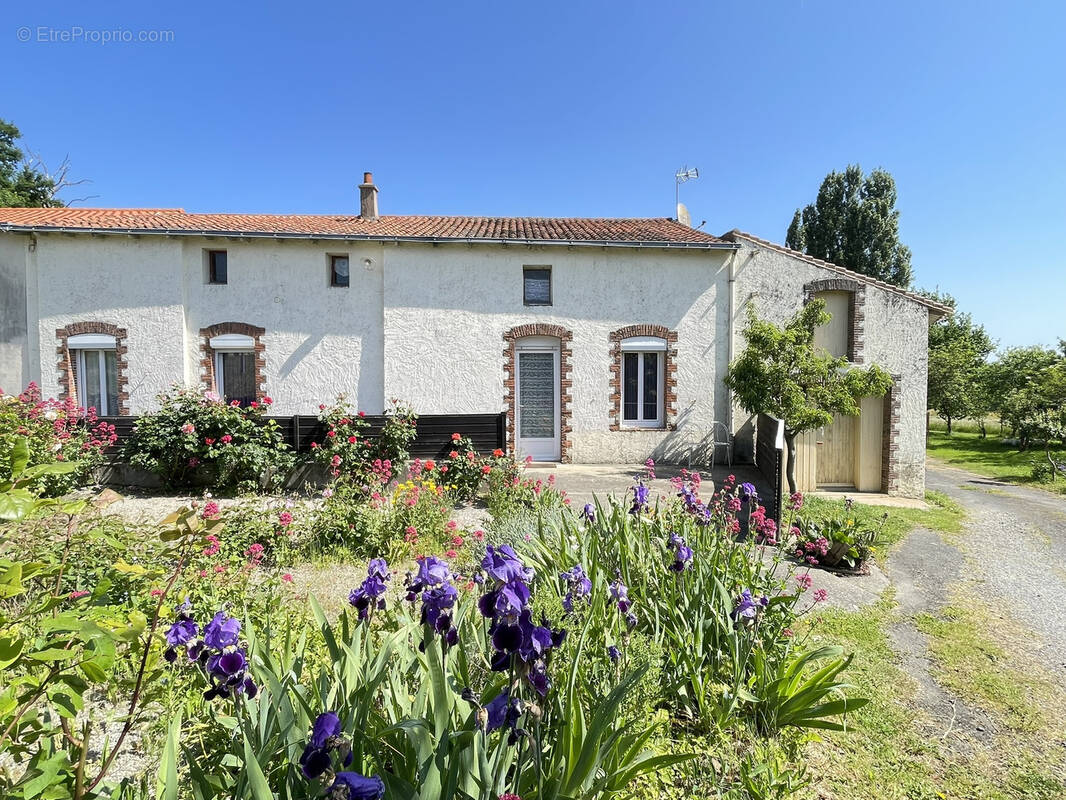 Maison à SAINT-LAURENT-DU-MOTTAY