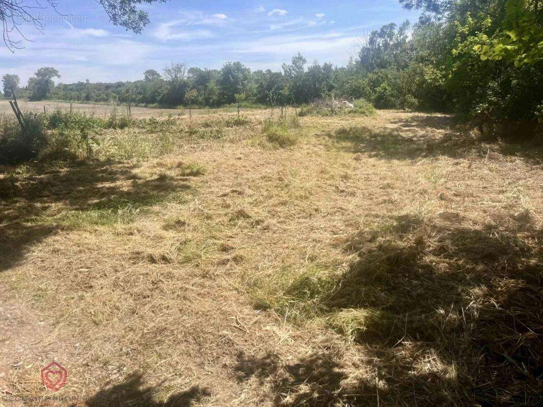 Maison à CASTELNAUDARY