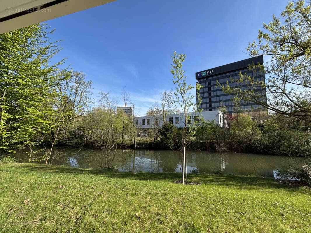Appartement d'exception -  500m2 de jardin - quartier prestigieux du WACKEN - photo 6